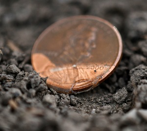 1958-D-Lincoln-Cent.